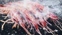 Imagen principal de la ficha